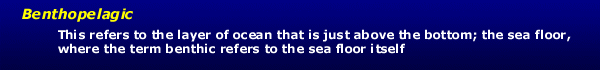benthopelagic