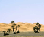 Hottest Place on Earth