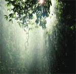 Wettest Place on Earth