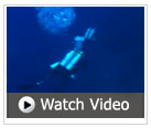 Diving Video