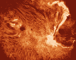 picture of solar flare