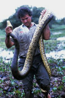 Jesus Rivas holding an anaconda