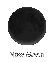 New Moon 